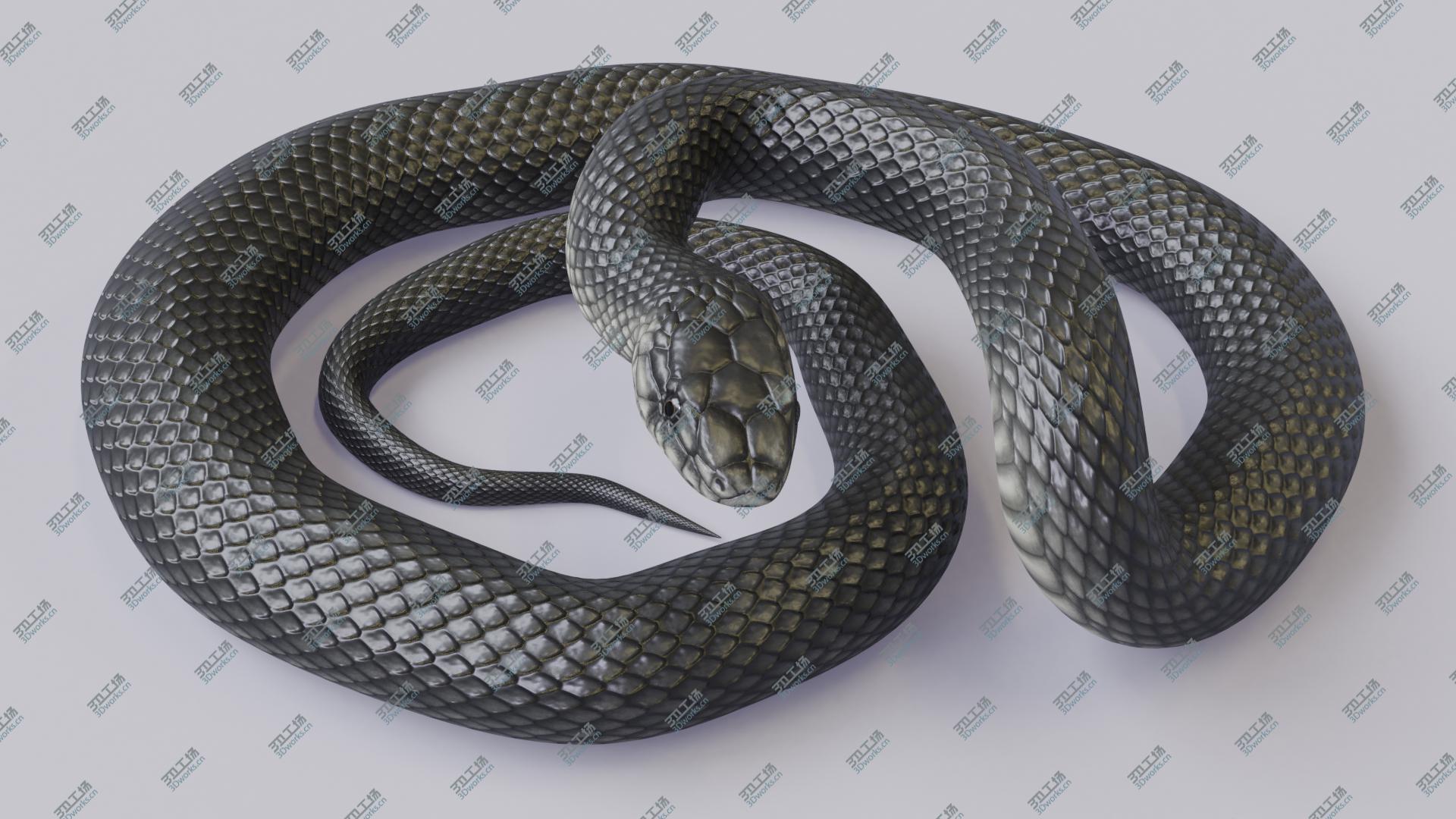 images/goods_img/20210113/3D model Animated Black Mamba/3.jpg